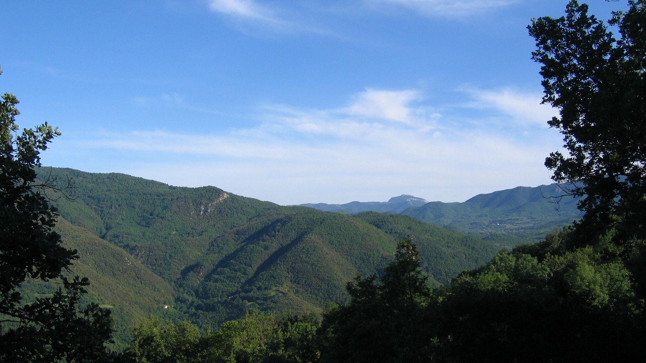 Photo of Others in Montferrer