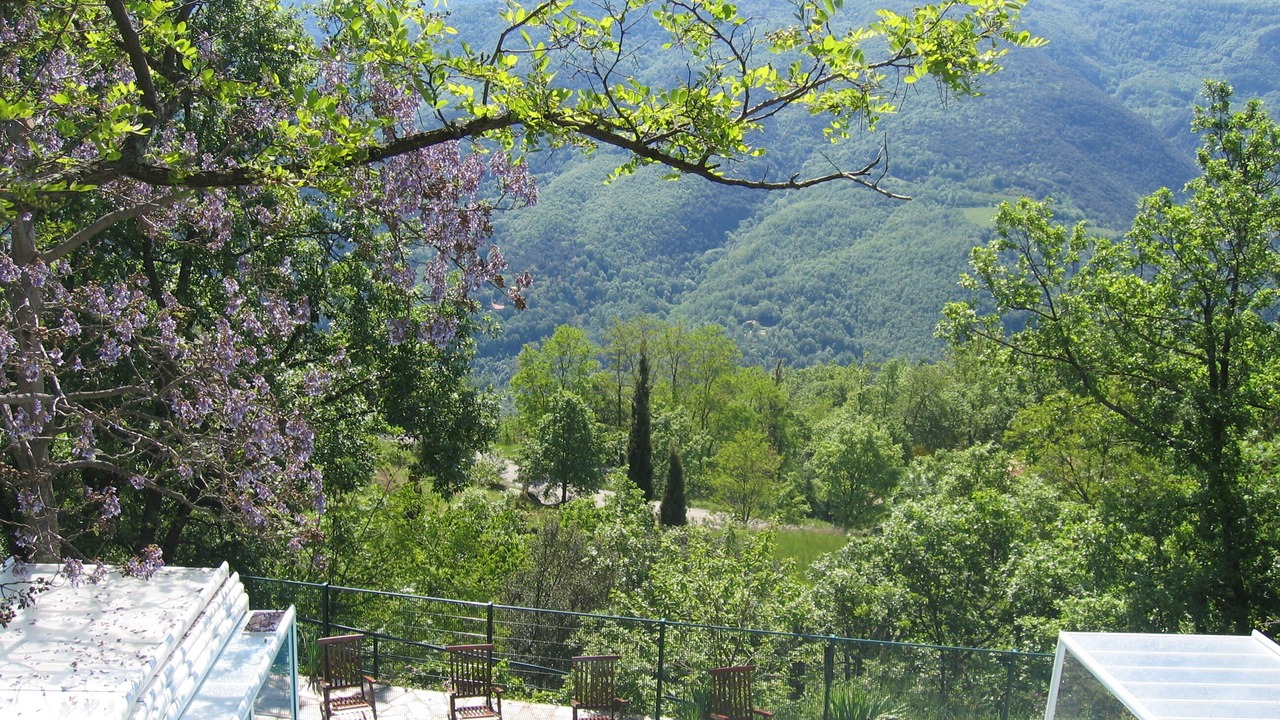 Photo of Outdoor in Montferrer
