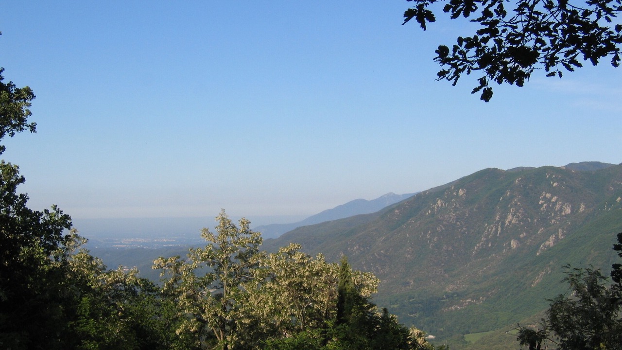Photo of Others in Montferrer