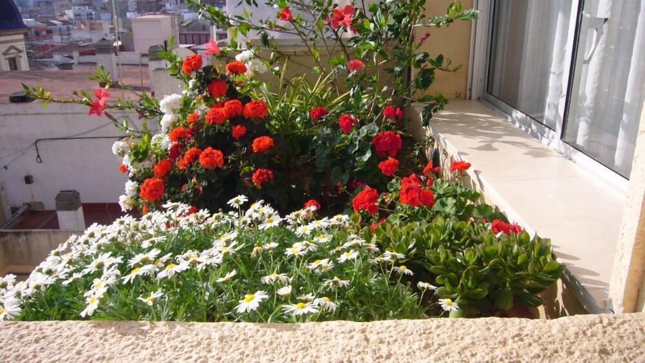 Photo of Patio Balcony in El Botanic