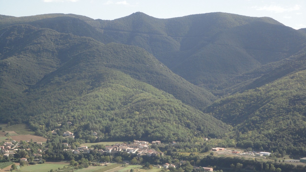 Photo of Others in Bedarieux (ornac)