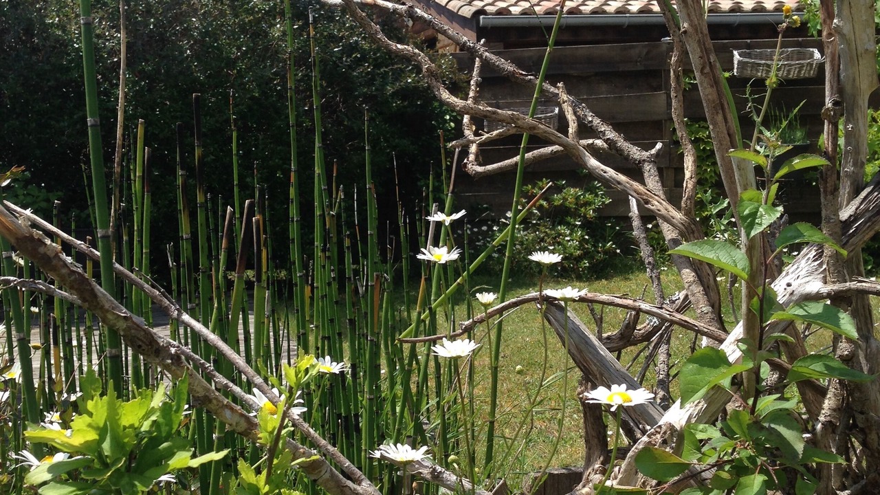 Photo of Outdoor in Andernos-les-Bains