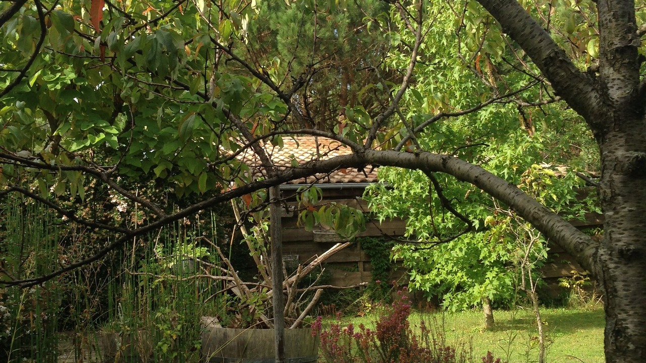 Photo of Outdoor in Andernos-les-Bains