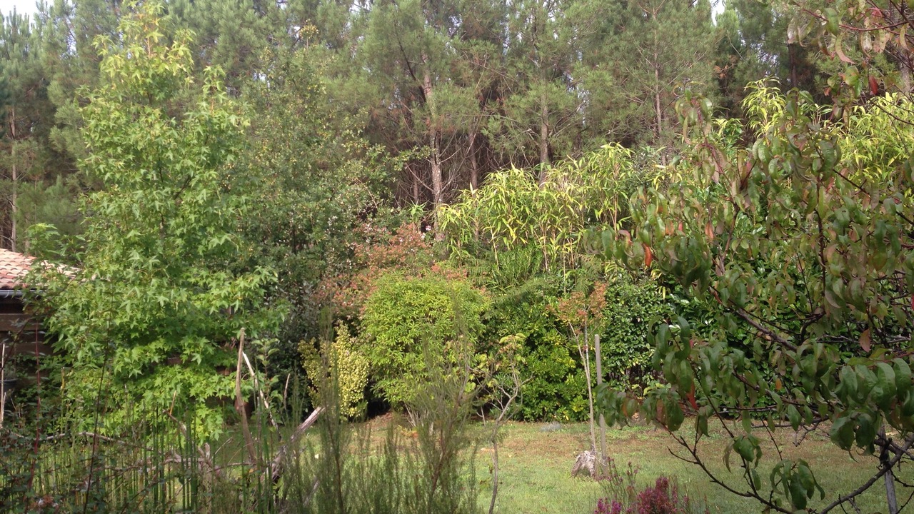 Photo of Outdoor in Andernos-les-Bains
