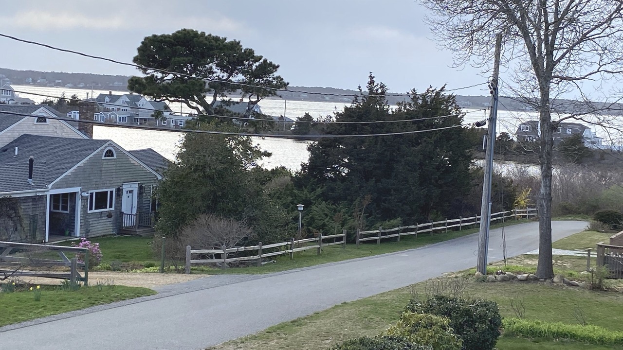 Photo of Others in East Chop