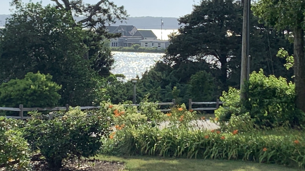 Photo of Outdoor in East Chop