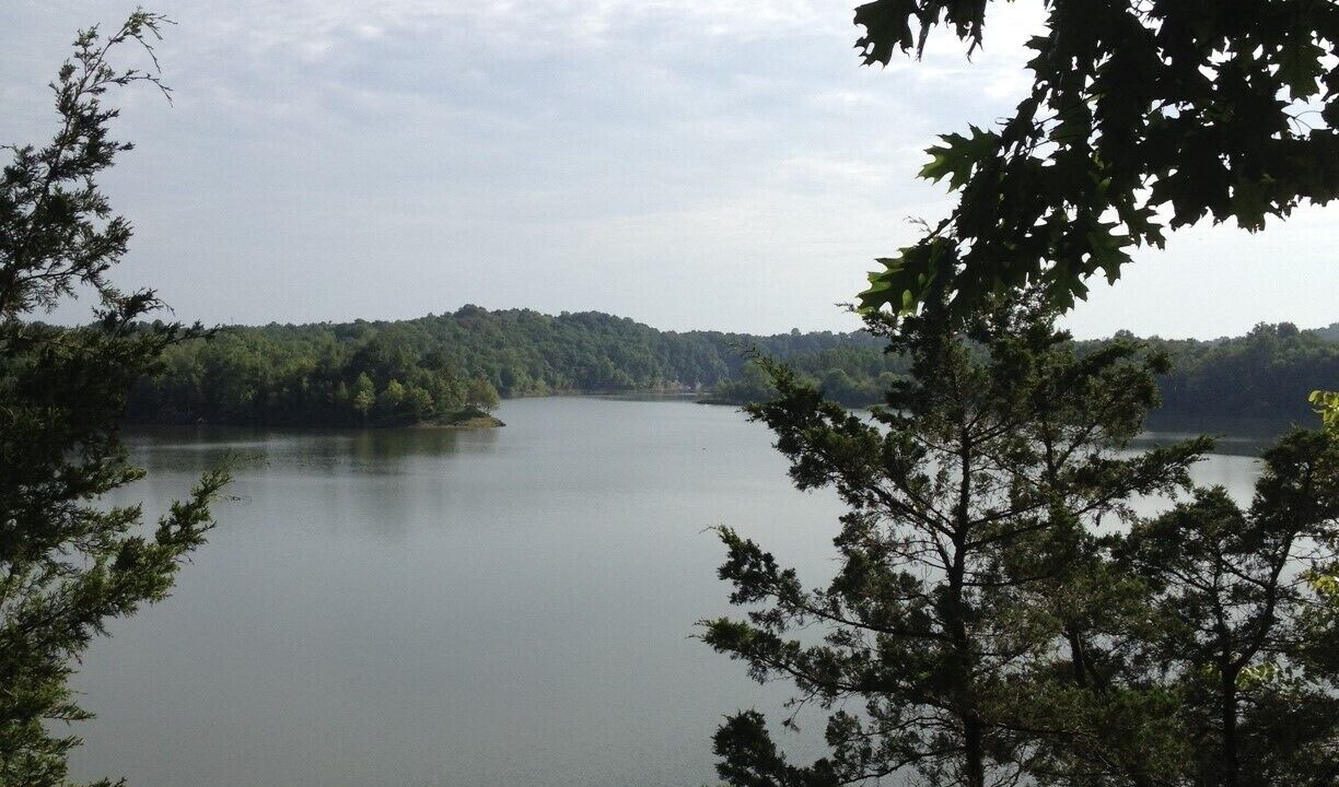 Photo of Others in Lucas