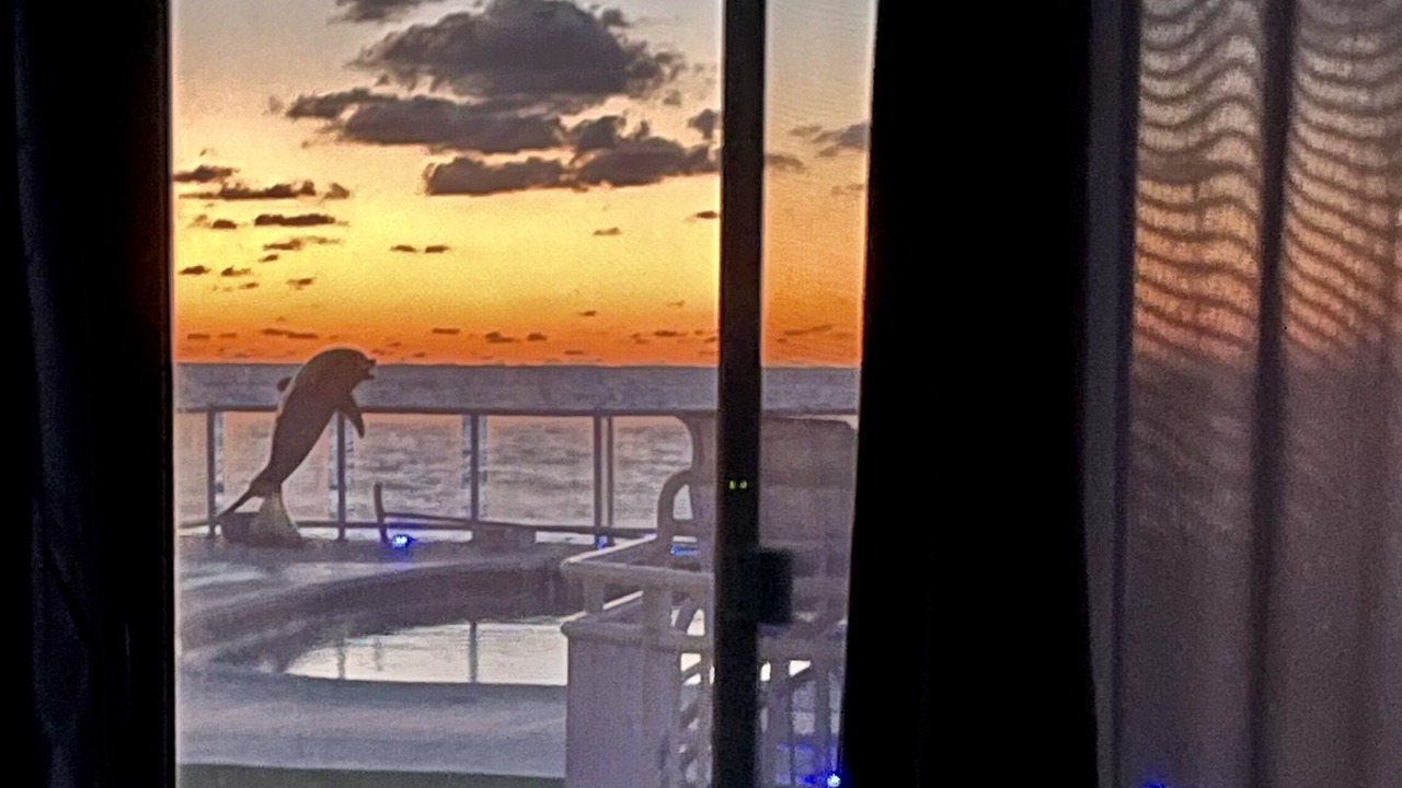 Photo of Others in Loveladies