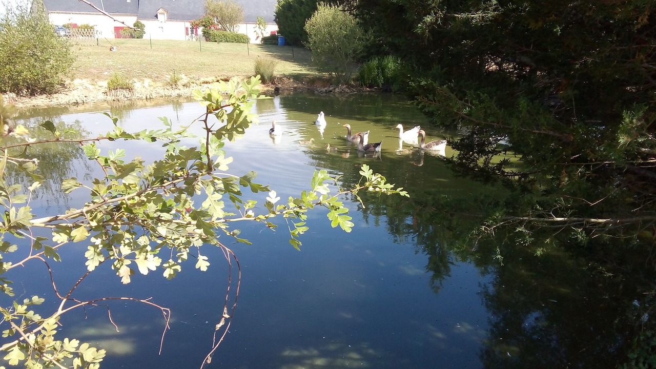 Photo of Outdoor in Murs-Erigne