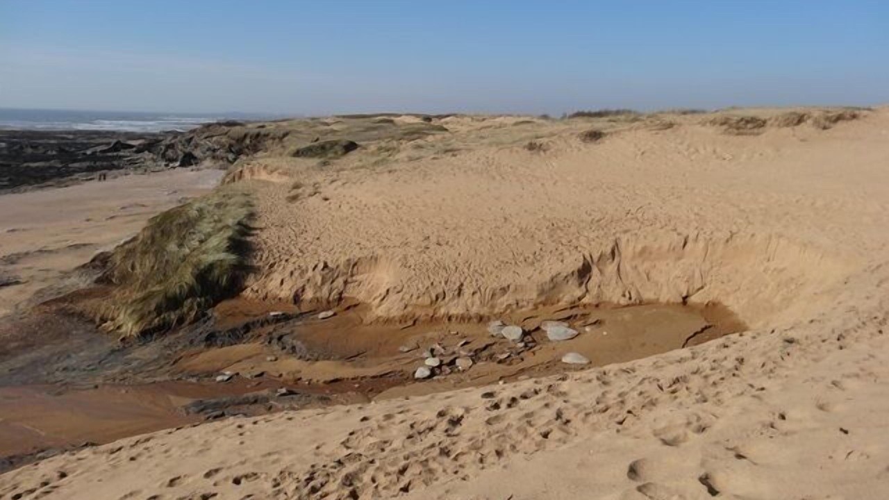 Photo of Others in Bretignolles-sur-Mer