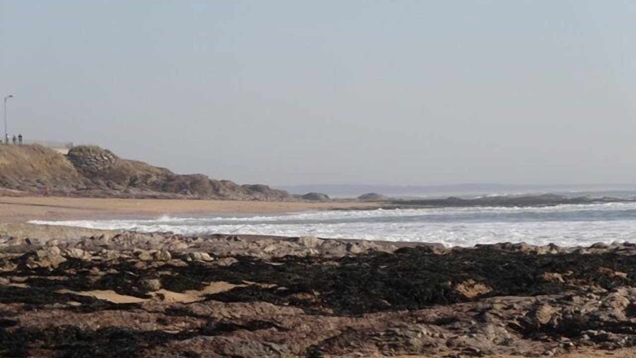 Photo of Others in Bretignolles-sur-Mer