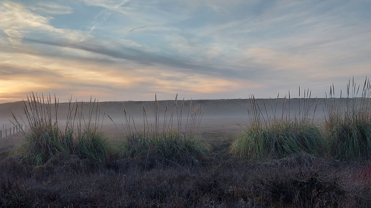 Photo of Others in Bretignolles-sur-Mer