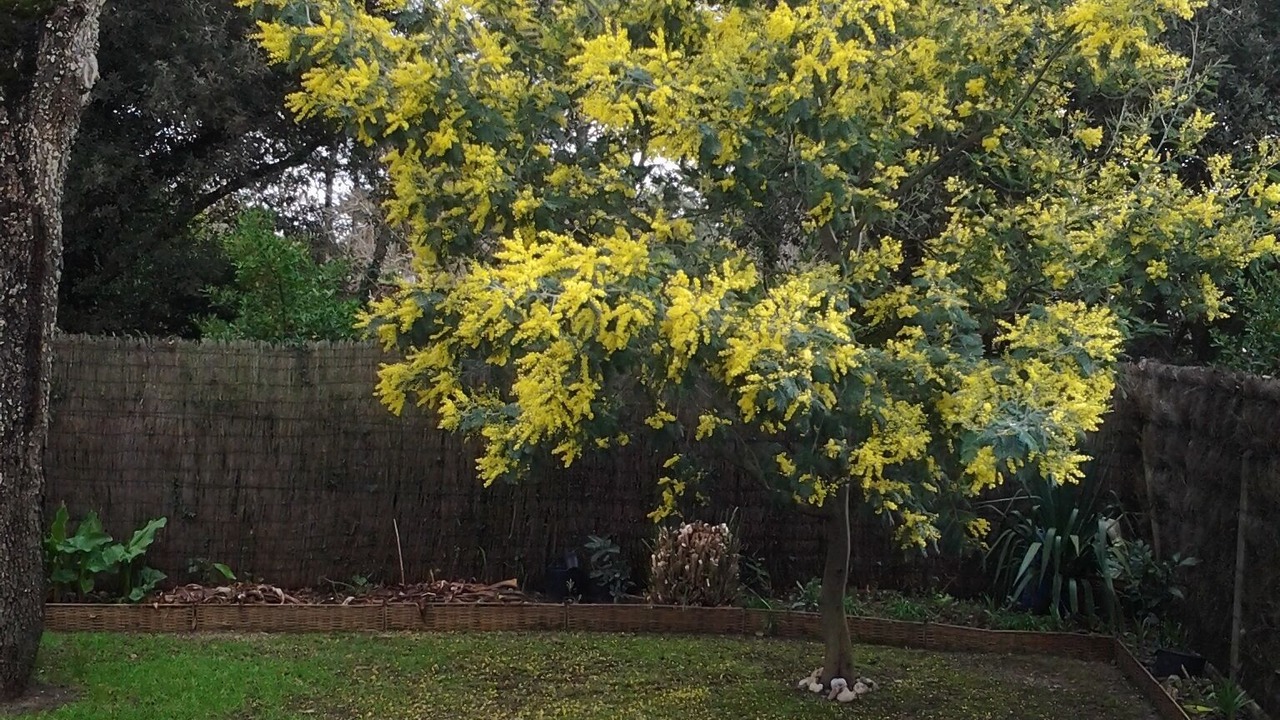 Photo of Outdoor in Chateau-d'Olonne