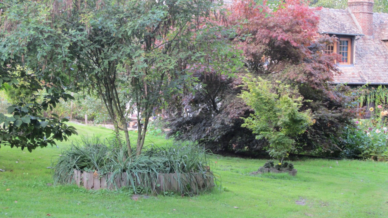 Photo of Outdoor in La Riviere-Saint-Sauveur