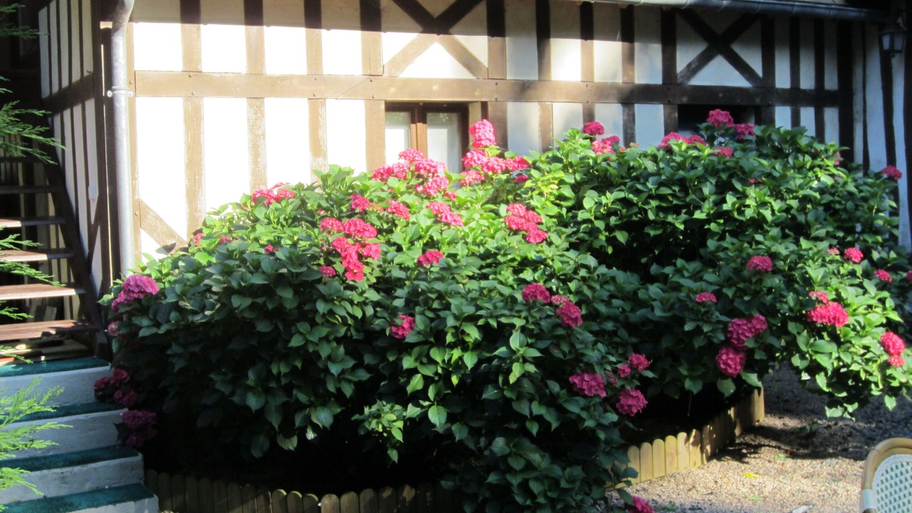 Photo of Outdoor in La Riviere-Saint-Sauveur