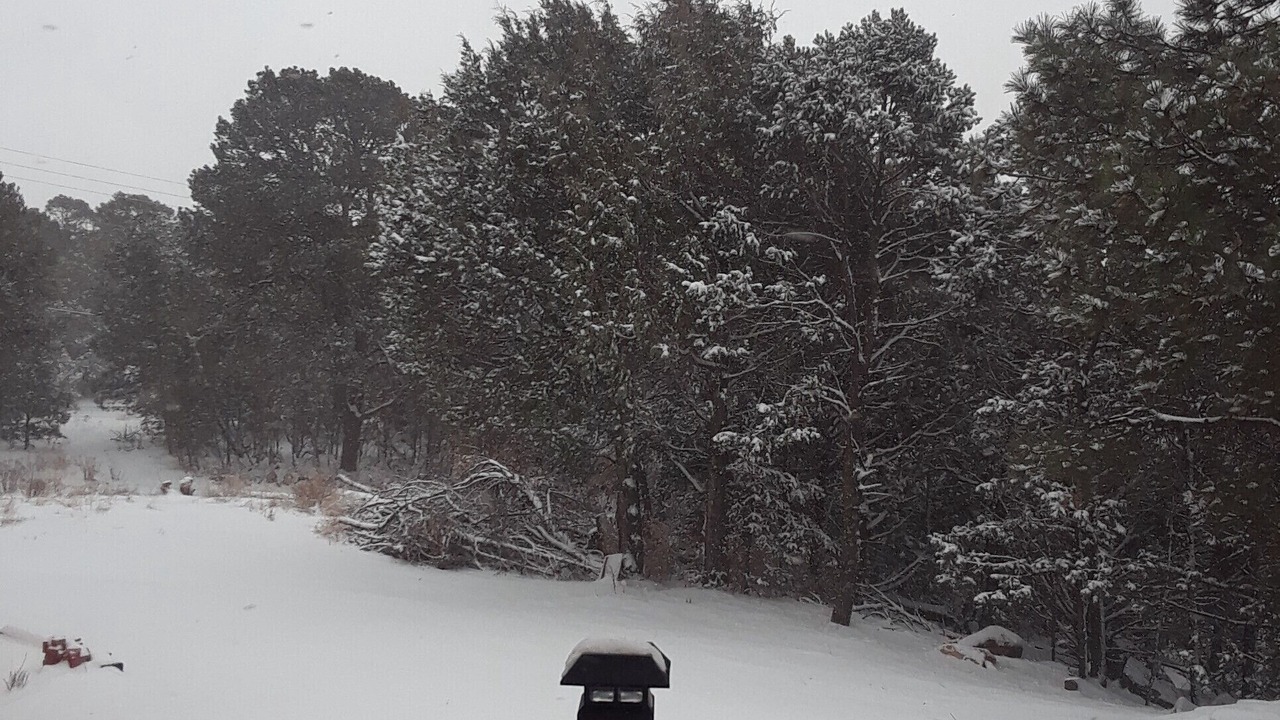 Photo of Others in Tijeras