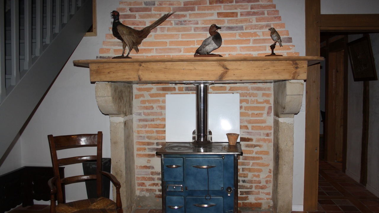 Photo of Others in Rion-des-Landes