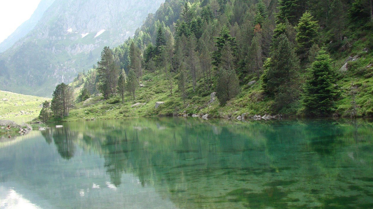 Photo of Others in Argeles Gazost