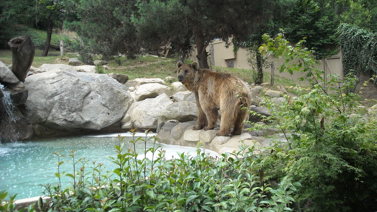 Photo of Outdoor in Argeles Gazost