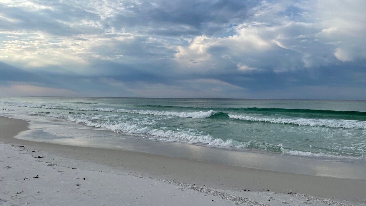 Photo of Others in Miramar Beach