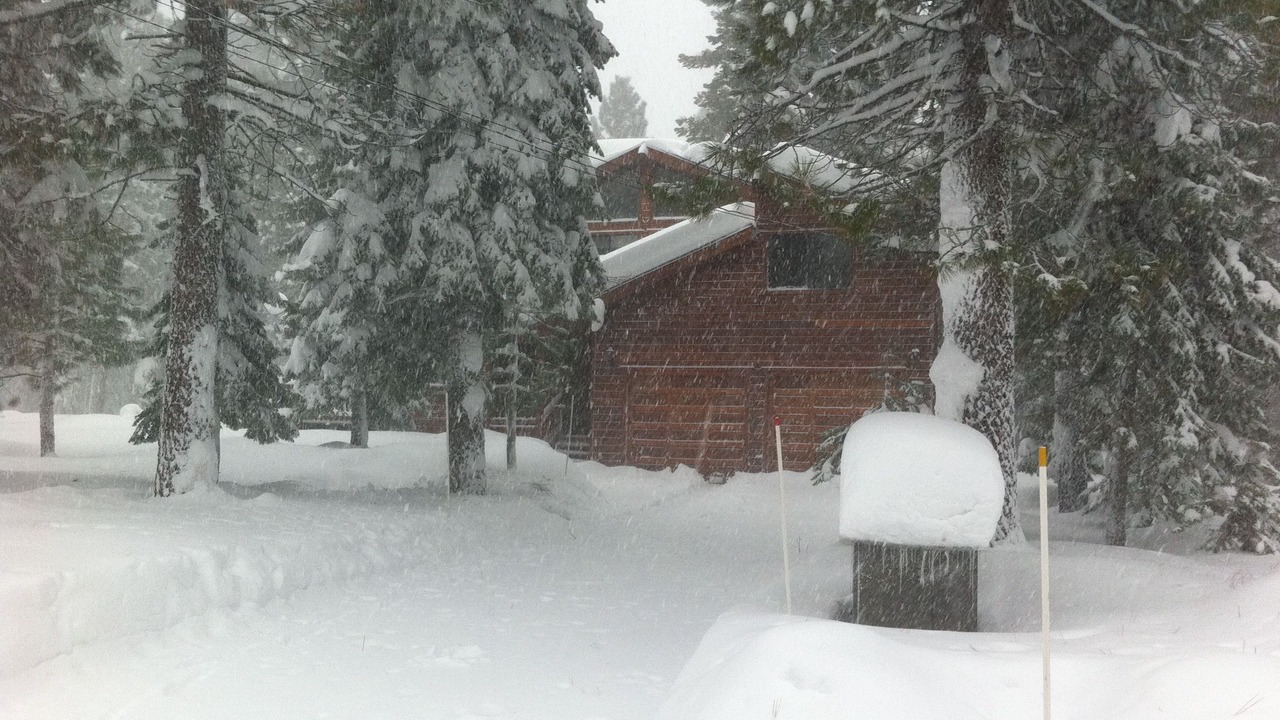 Photo of Others in Truckee