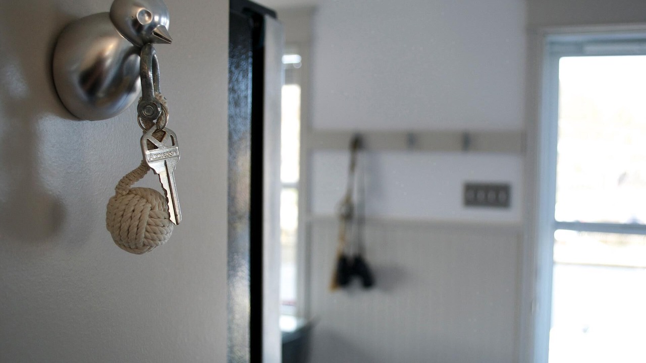 Photo of Others in Petty Harbour