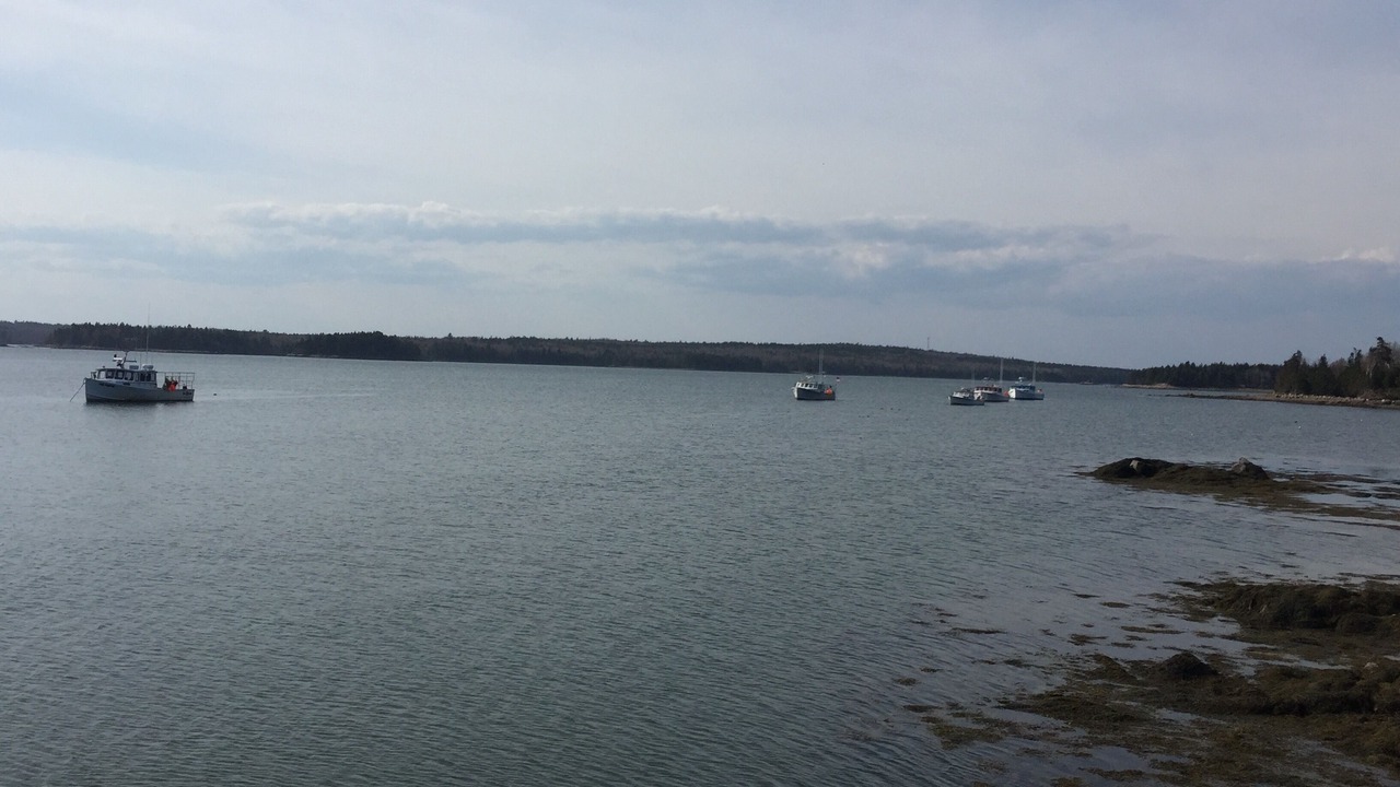 Photo of Others in Steuben