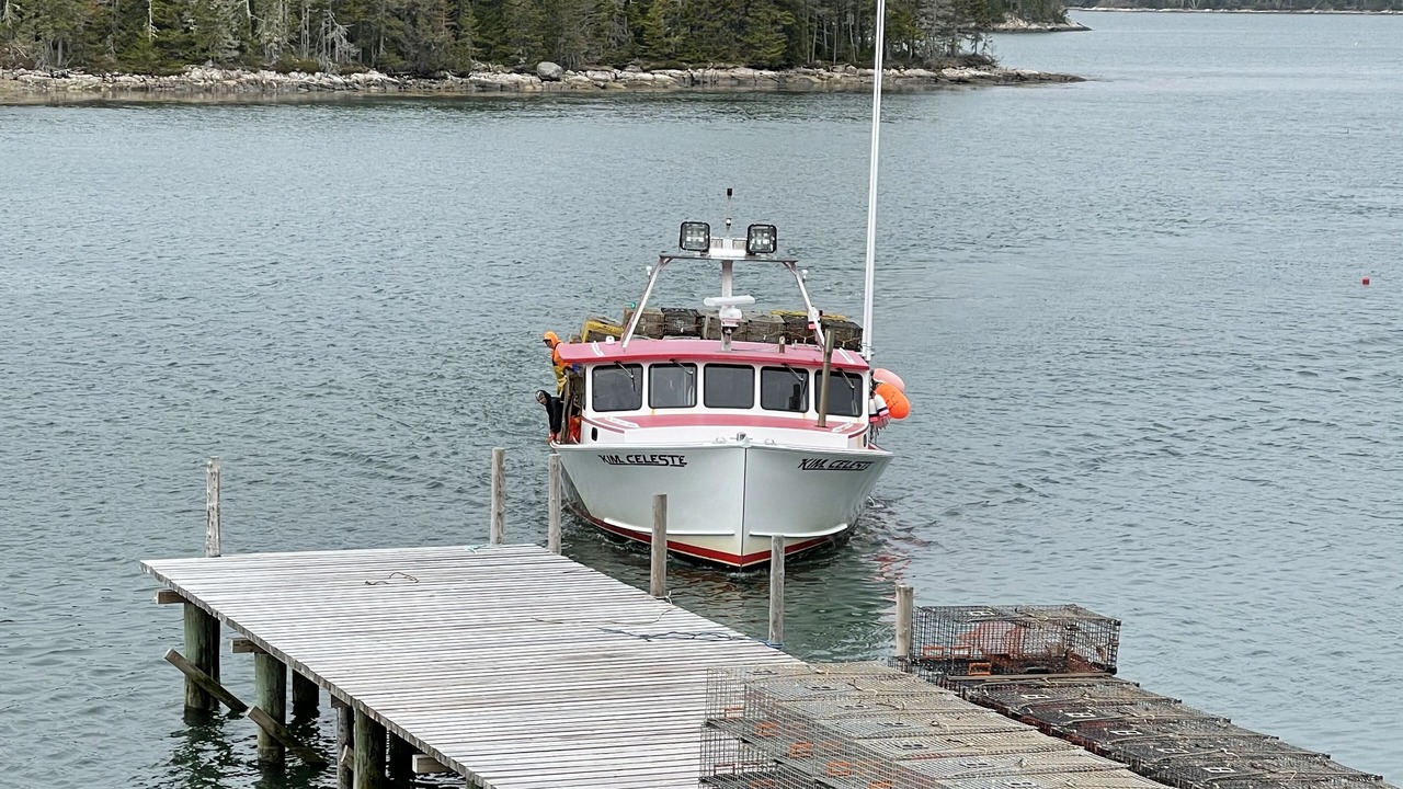 Photo of Others in Steuben