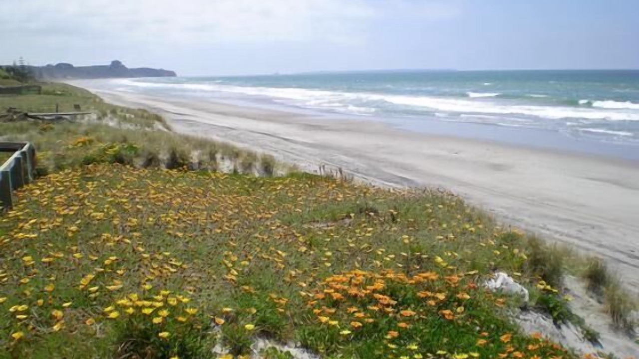 Photo of Others in Pukehina