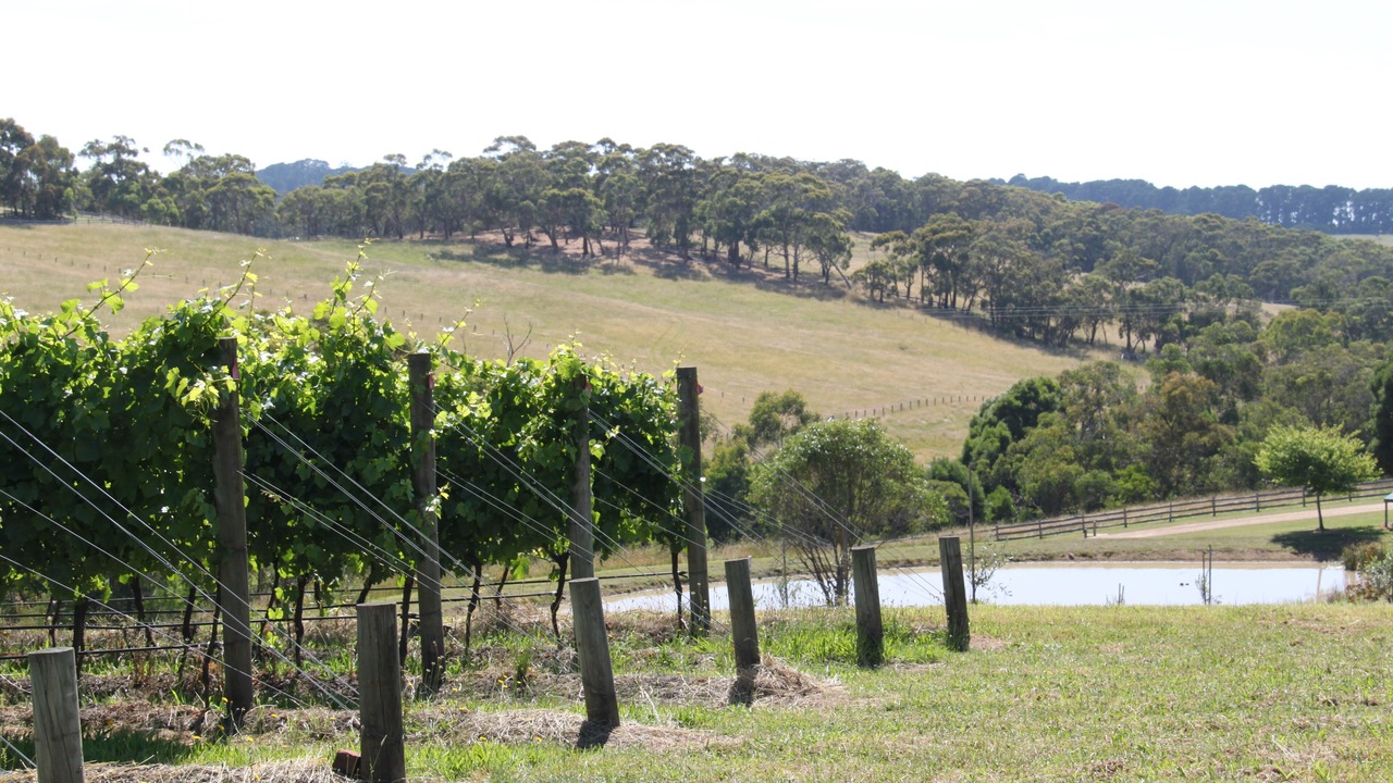 Photo of Others in Red Hill