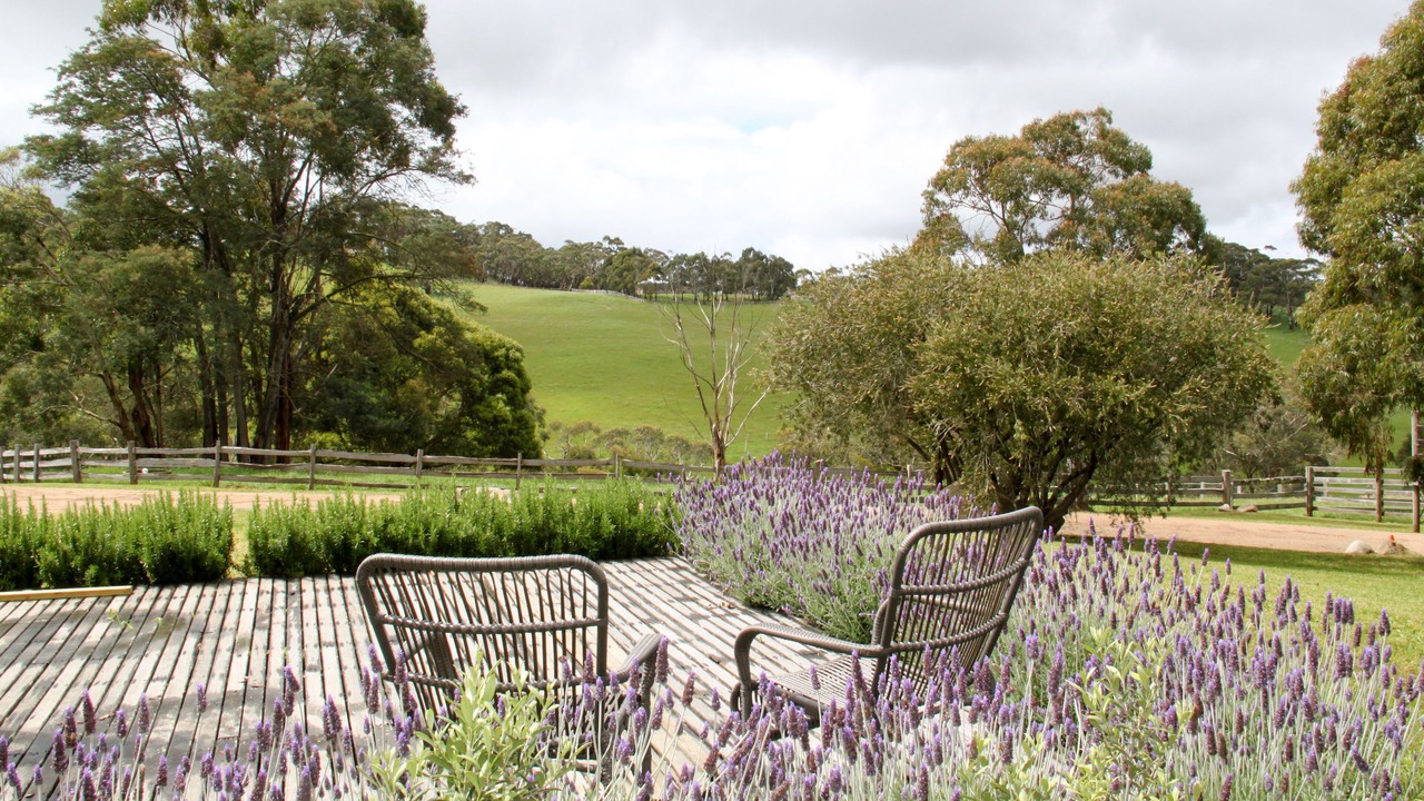 Photo of Others in Red Hill