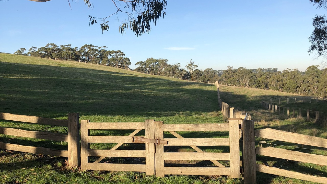 Photo of Others in Red Hill