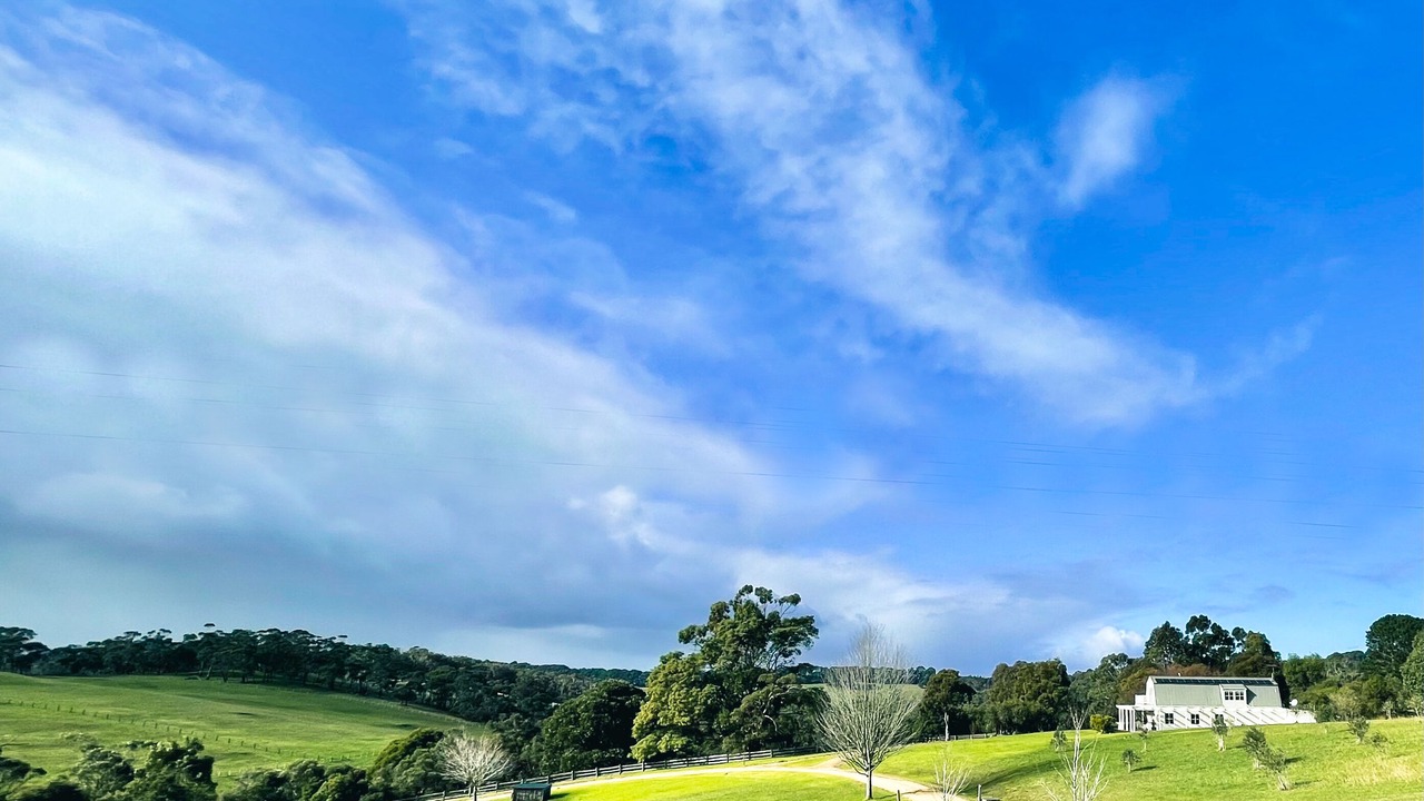 Photo of Others in Red Hill