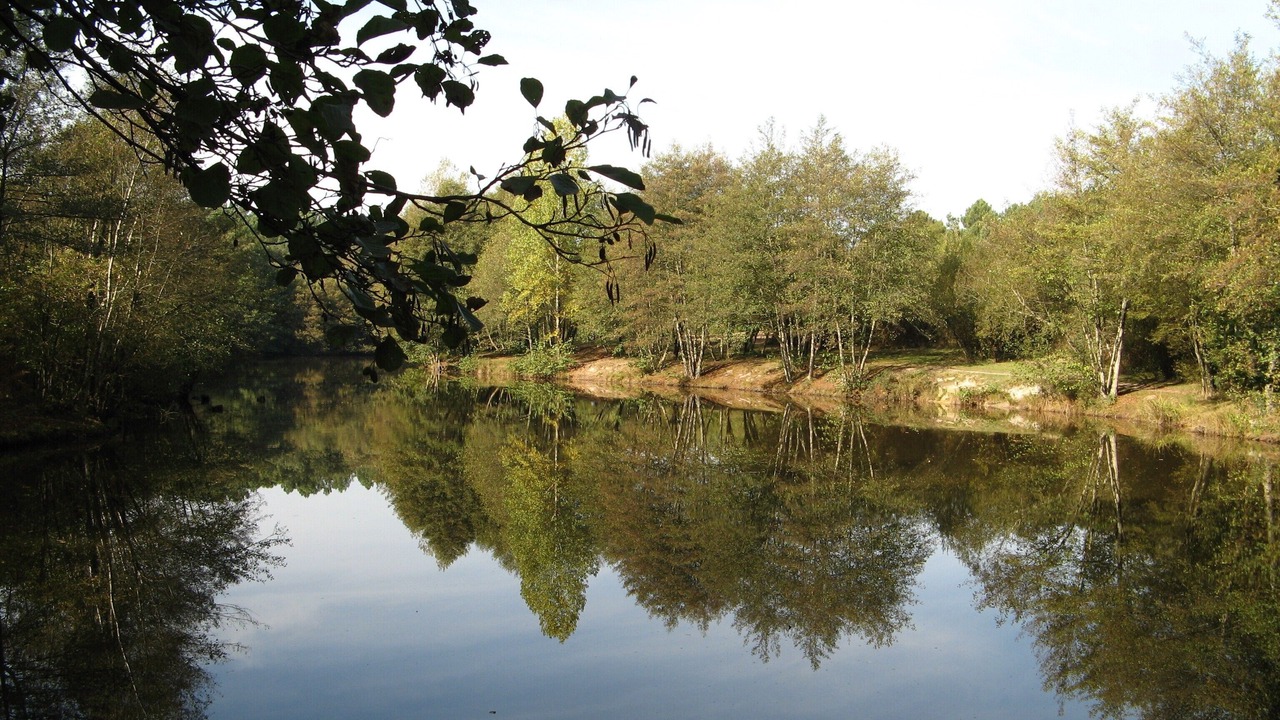 Photo of Outdoor in Cestas