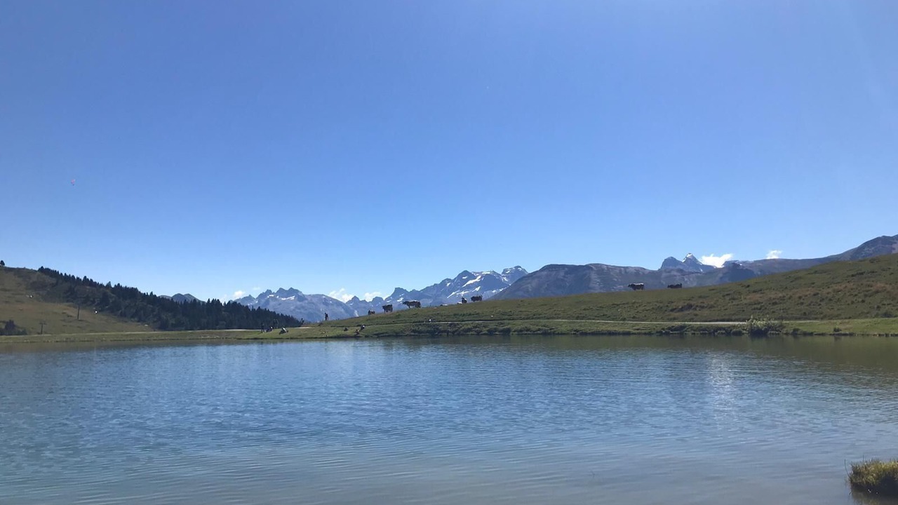 Photo of Outdoor in Riederalp