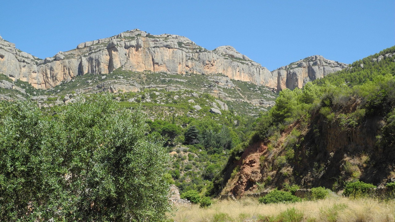 Photo of Outdoor in Torroja del Priorat
