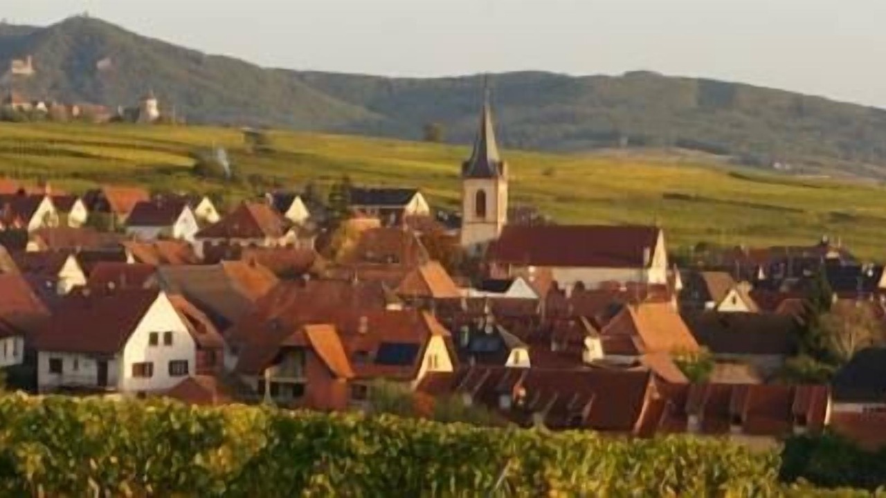 Photo of Outdoor in Beblenheim