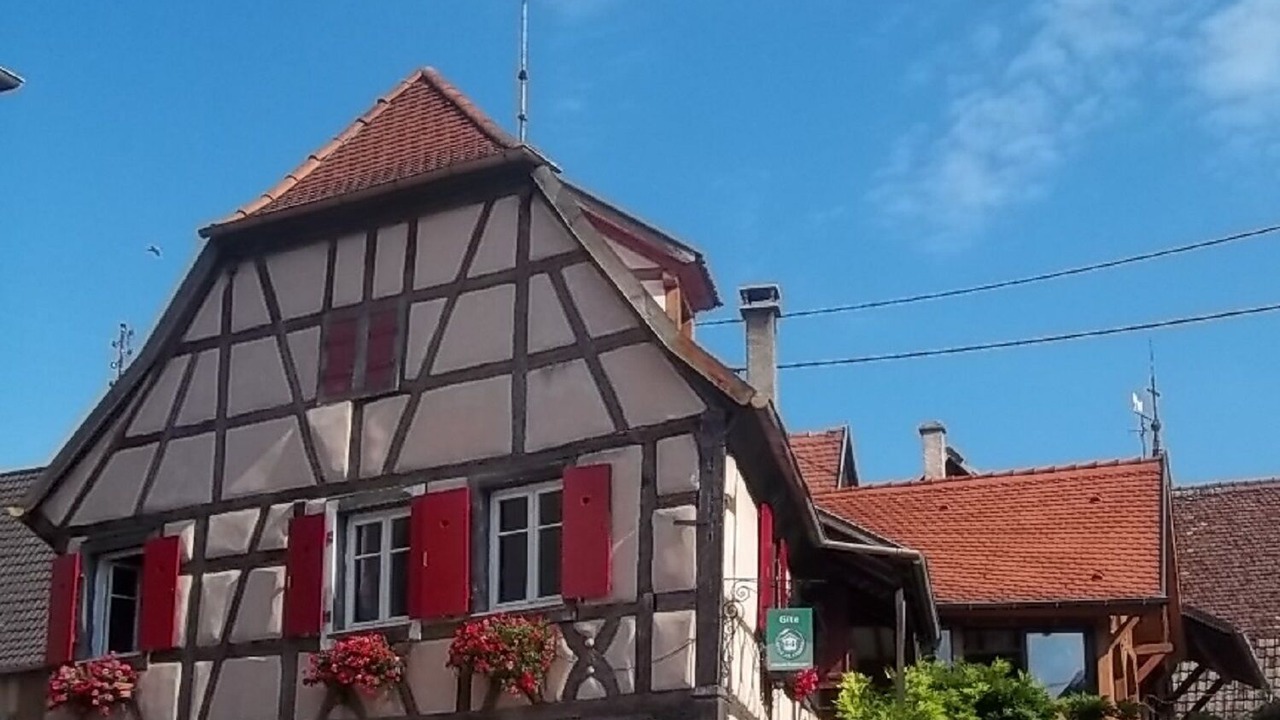 Photo of Outdoor in Beblenheim