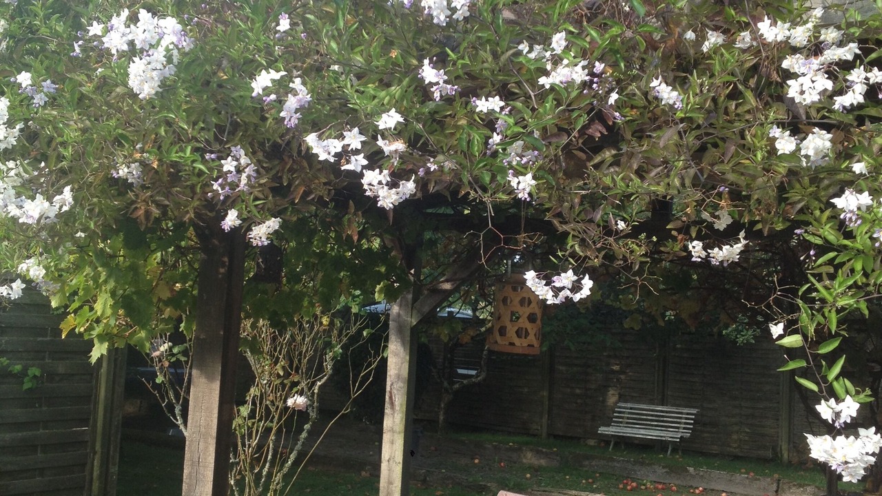 Photo of Outdoor in Kervoyal