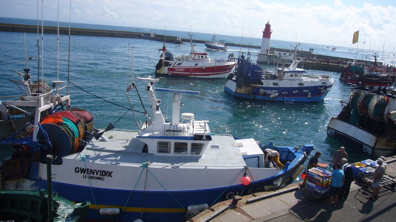 Photo of Others in Ergue-Gaberic