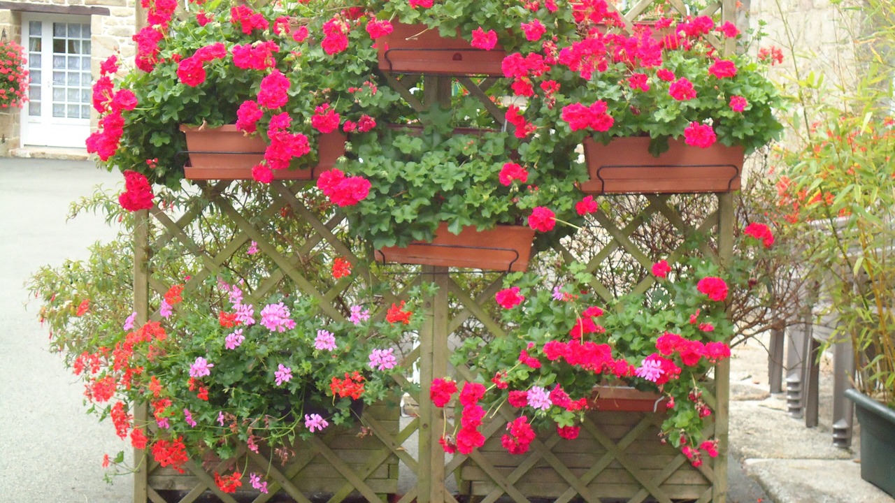 Photo of Outdoor in Ergue-Gaberic