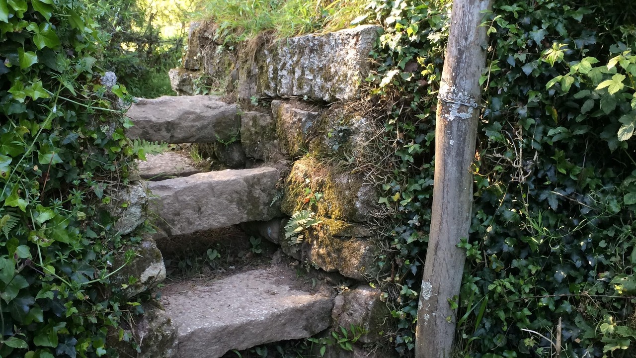 Photo of Outdoor in Helford Passage