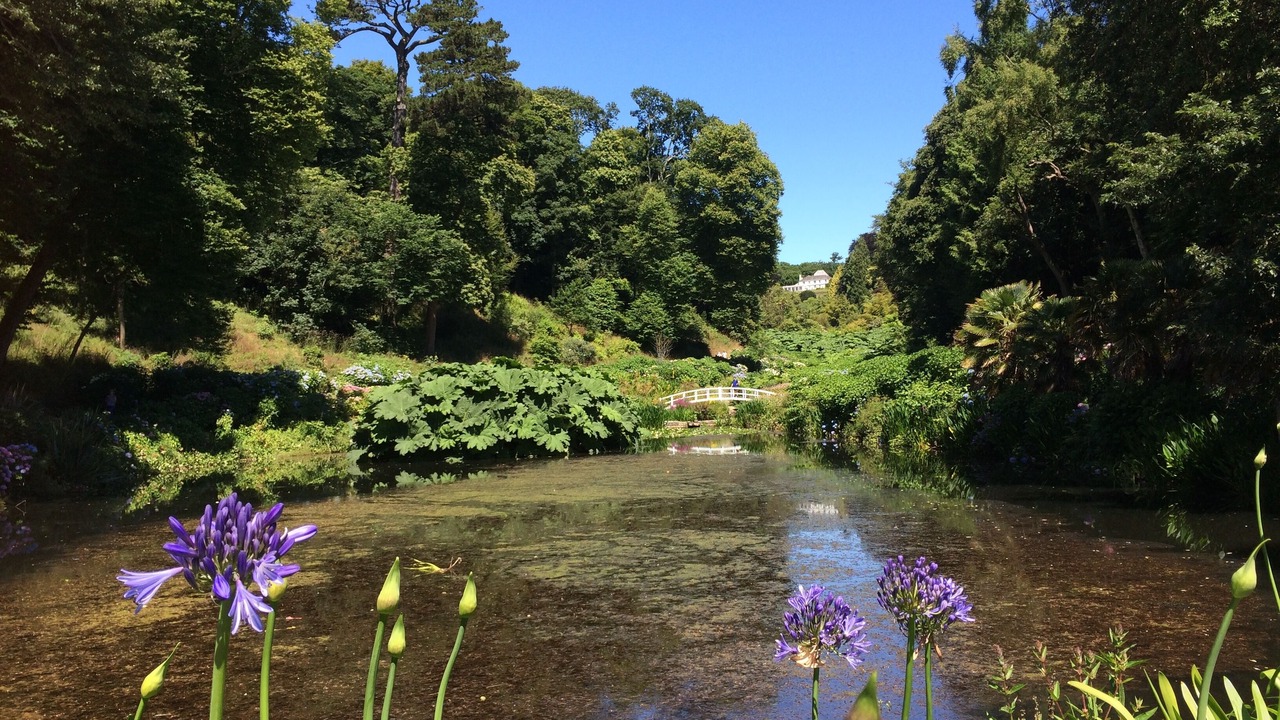 Photo of Others in Helford Passage