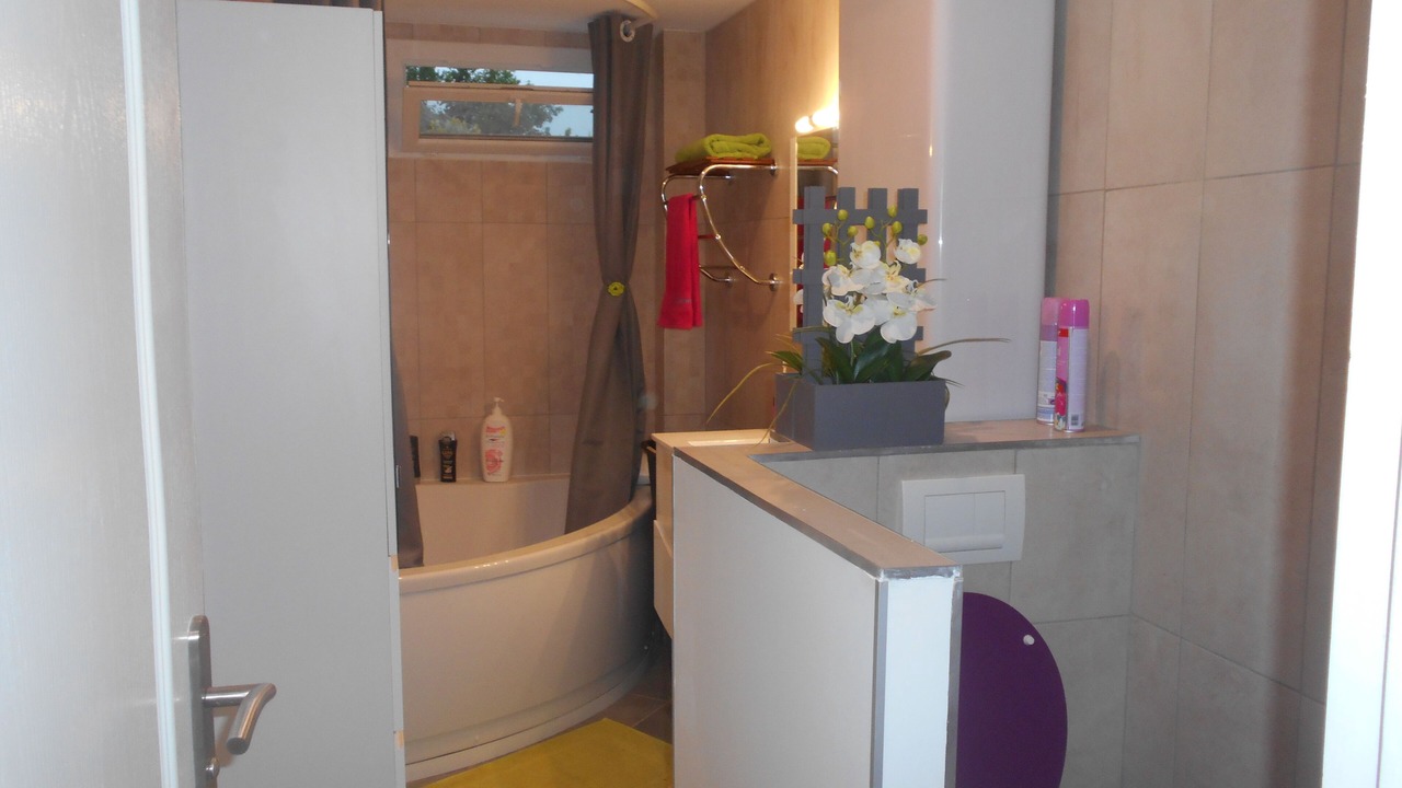 Photo of Bathroom in Meyzieu