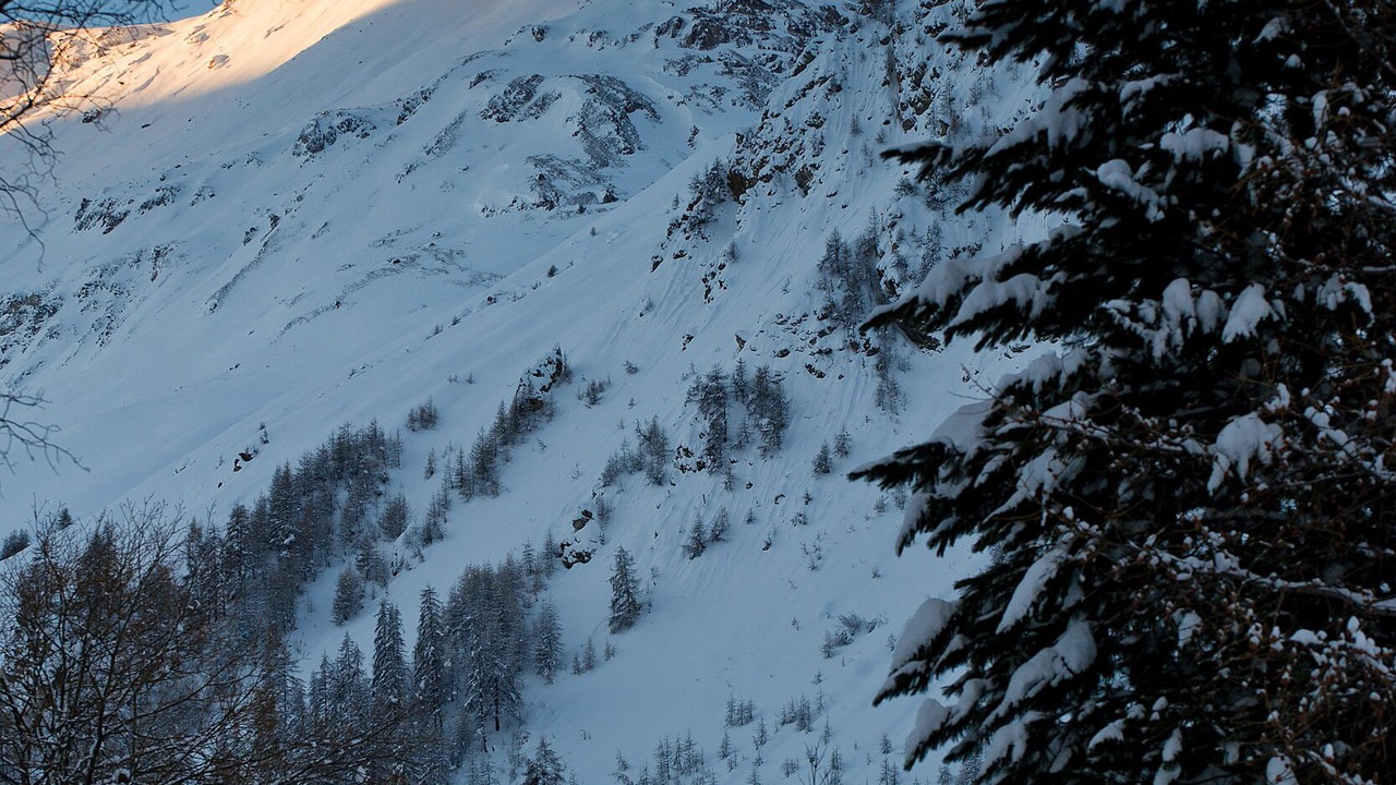 Photo of Others in Le Cret