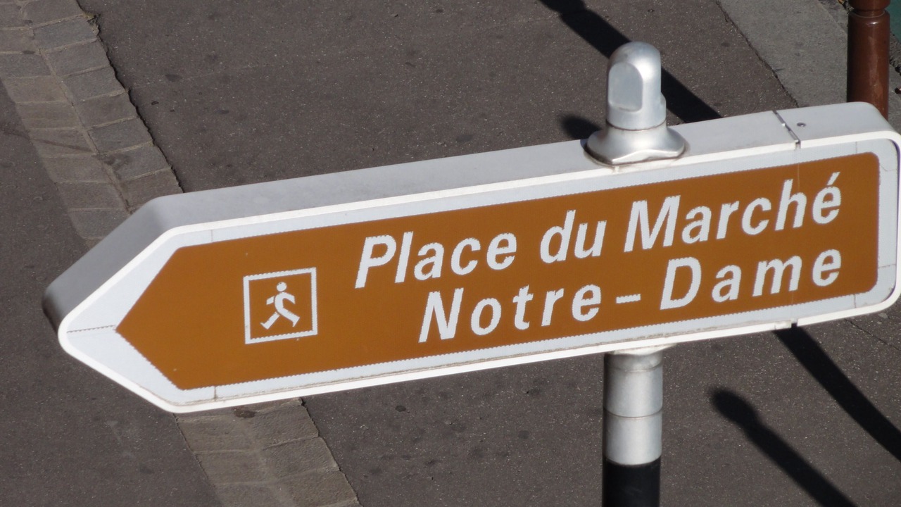 Photo of Others in Notre-Dame