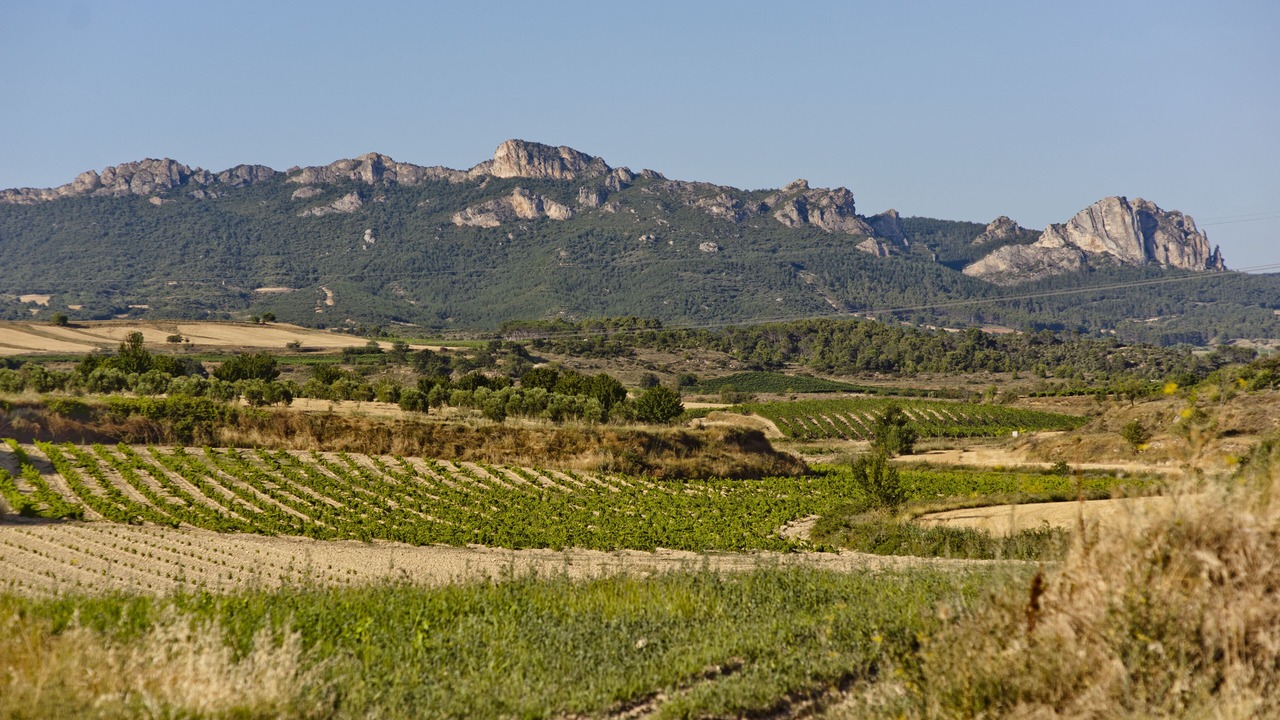 Photo of Outdoor in Sajazarra