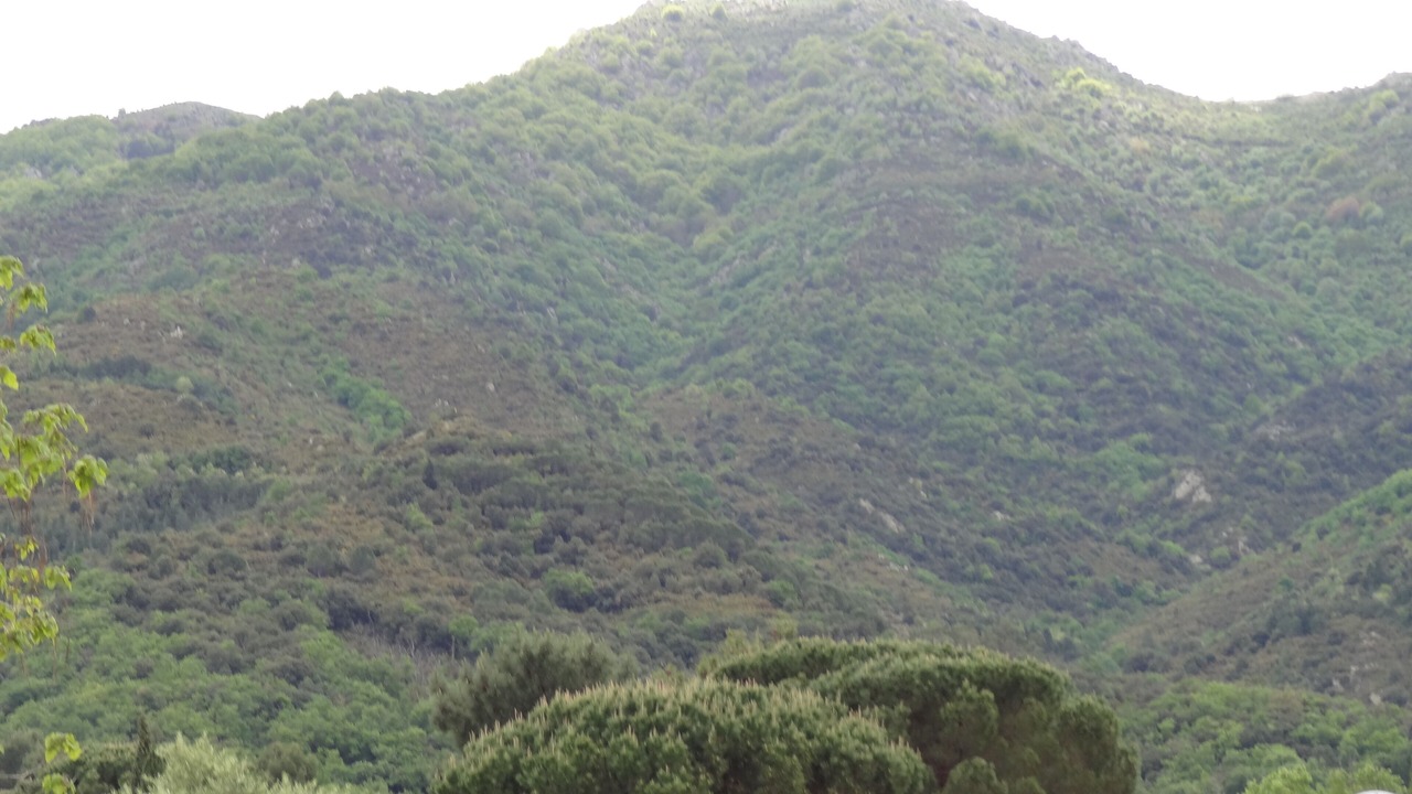 Photo of Outdoor in Montesquieu-des-Alberes