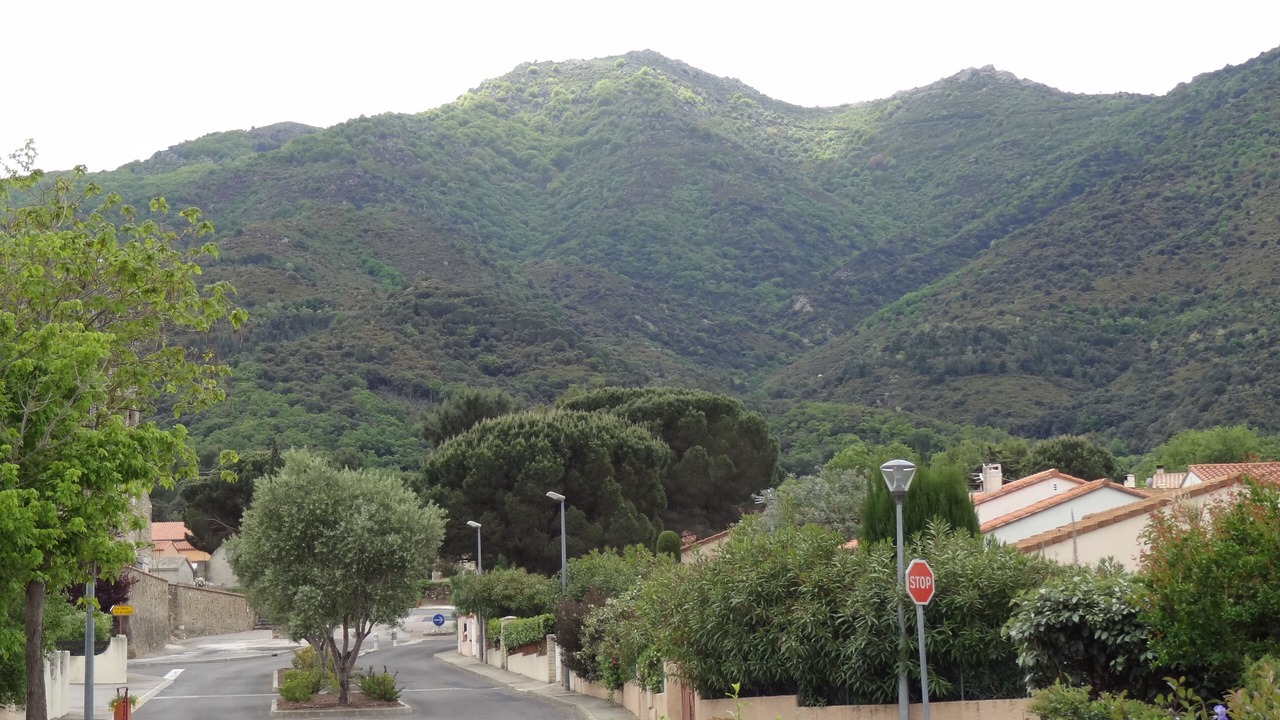 Photo of Outdoor in Montesquieu-des-Alberes