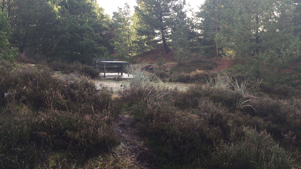 Photo of Outdoor in Rømø Kirkeby